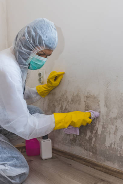 Best Residential Mold Inspection & Testing  in Lincoln, MT