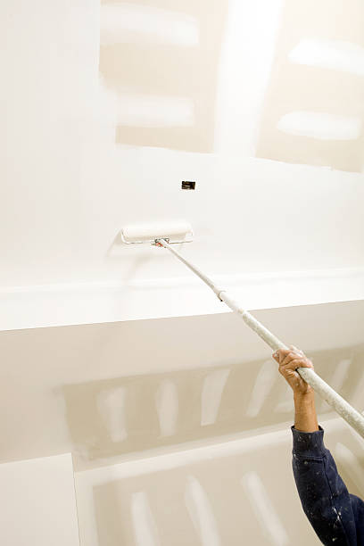 Best Mold Documentation for Insurance Claims  in Lincoln, MT