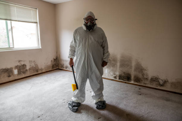 Best Post-Construction Mold Inspection  in Lincoln, MT