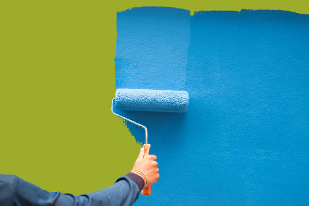 Best Real Estate Mold Inspection  in Lincoln, MT
