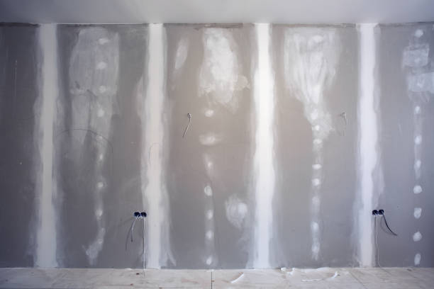 Best Mold-Related Health Consultation  in Lincoln, MT